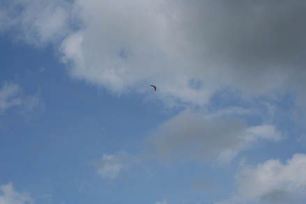 Bumerang, ki so ga izdelali, je poletel visoko v zrak.